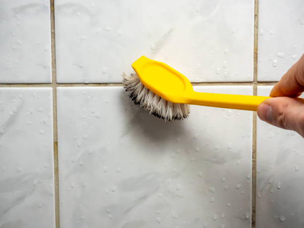 Best Kitchen Mold Remediation in Remsenburg Speonk, NY