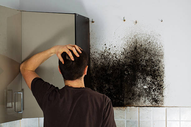 Best HVAC Mold Remediation in Remsenburg Speonk, NY